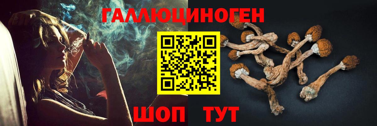 Курчалой  купить   Вход с VPN  Галлюциногенные грибы MAGIC MUSHROOMS 