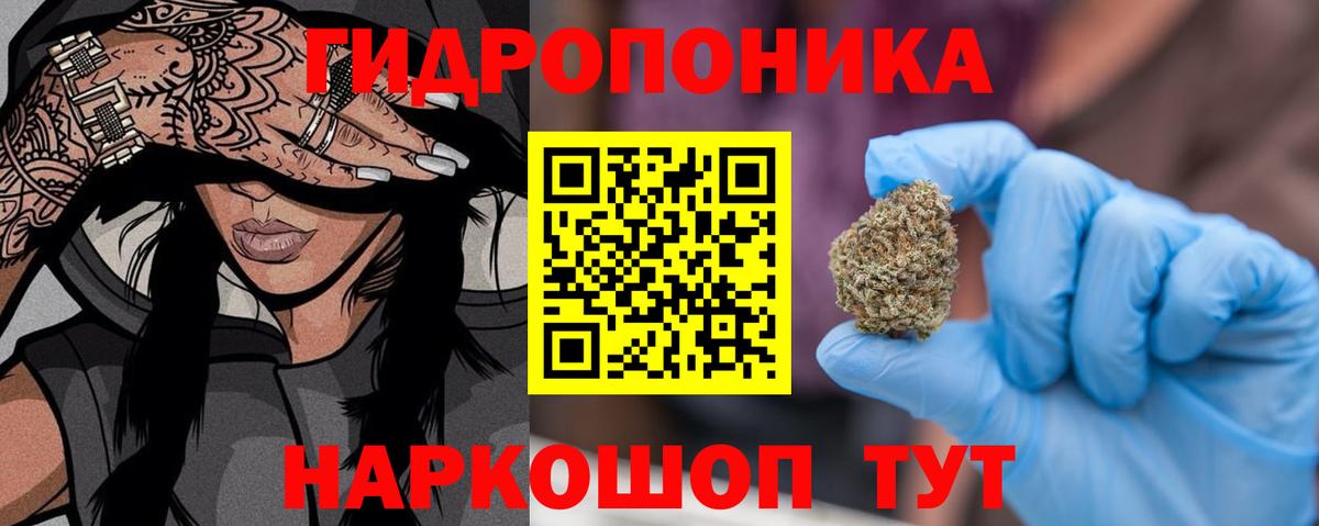 Бошки Шишки SATIVA & INDICA  Каннабис индика  Курчалой  Вход с VPN  Канабис AK-47 